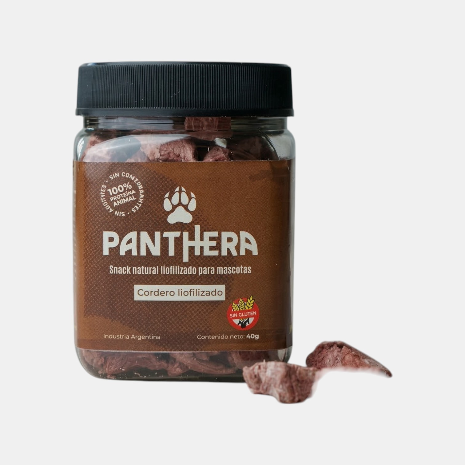 Panthera Cordero